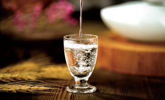 到位白酒 以品質(zhì)為舟，徜徉于小眾市場的匠心航跡