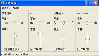 電腦錄音控制灰色故障解析與軟硬件批發業務關聯